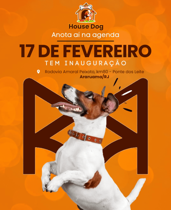 House Dog