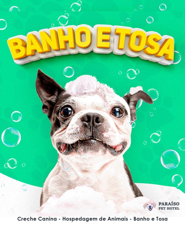 nossos projetos